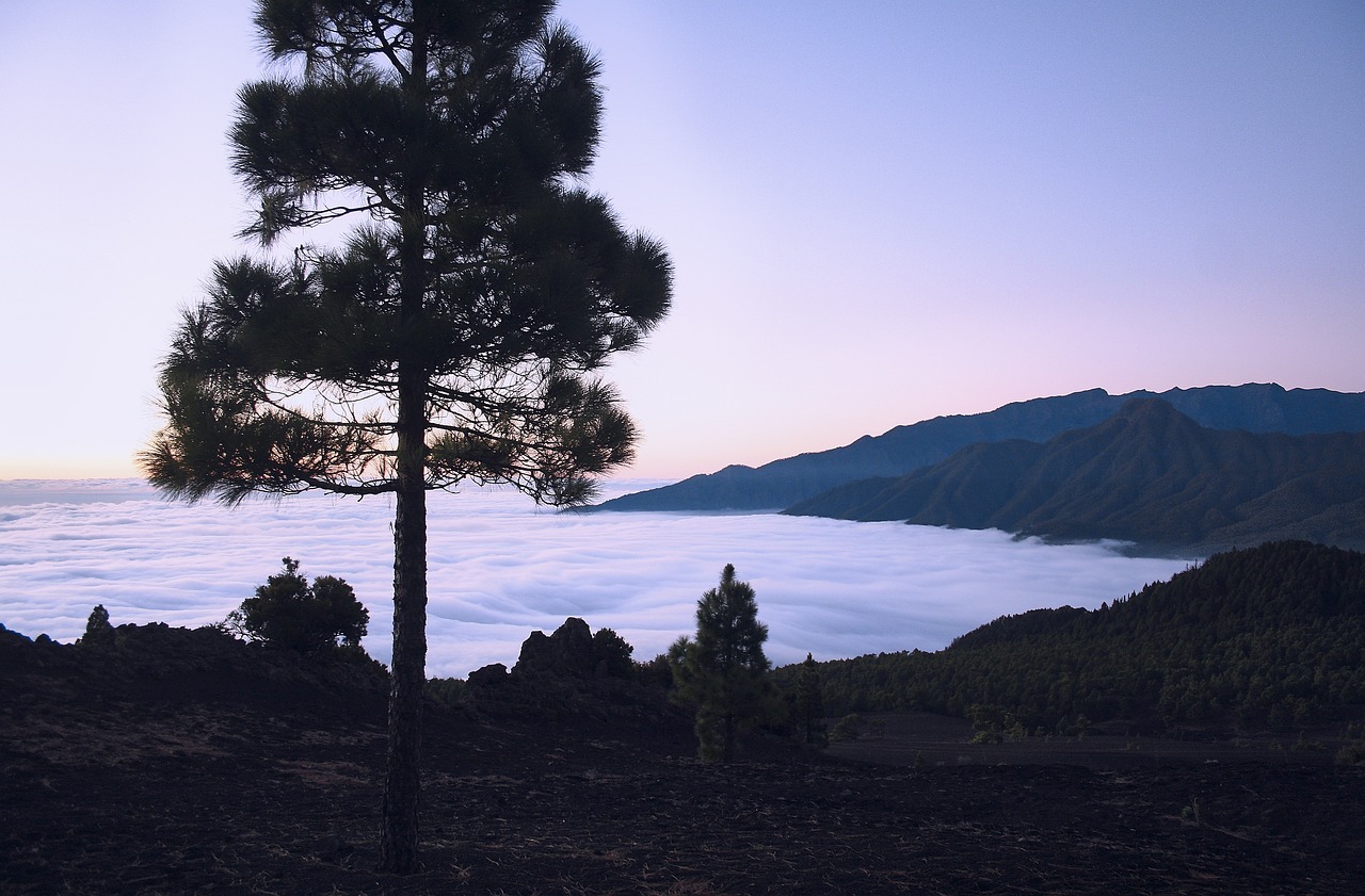 above the clouds, mountains, evening atmosphere-4489265.jpg