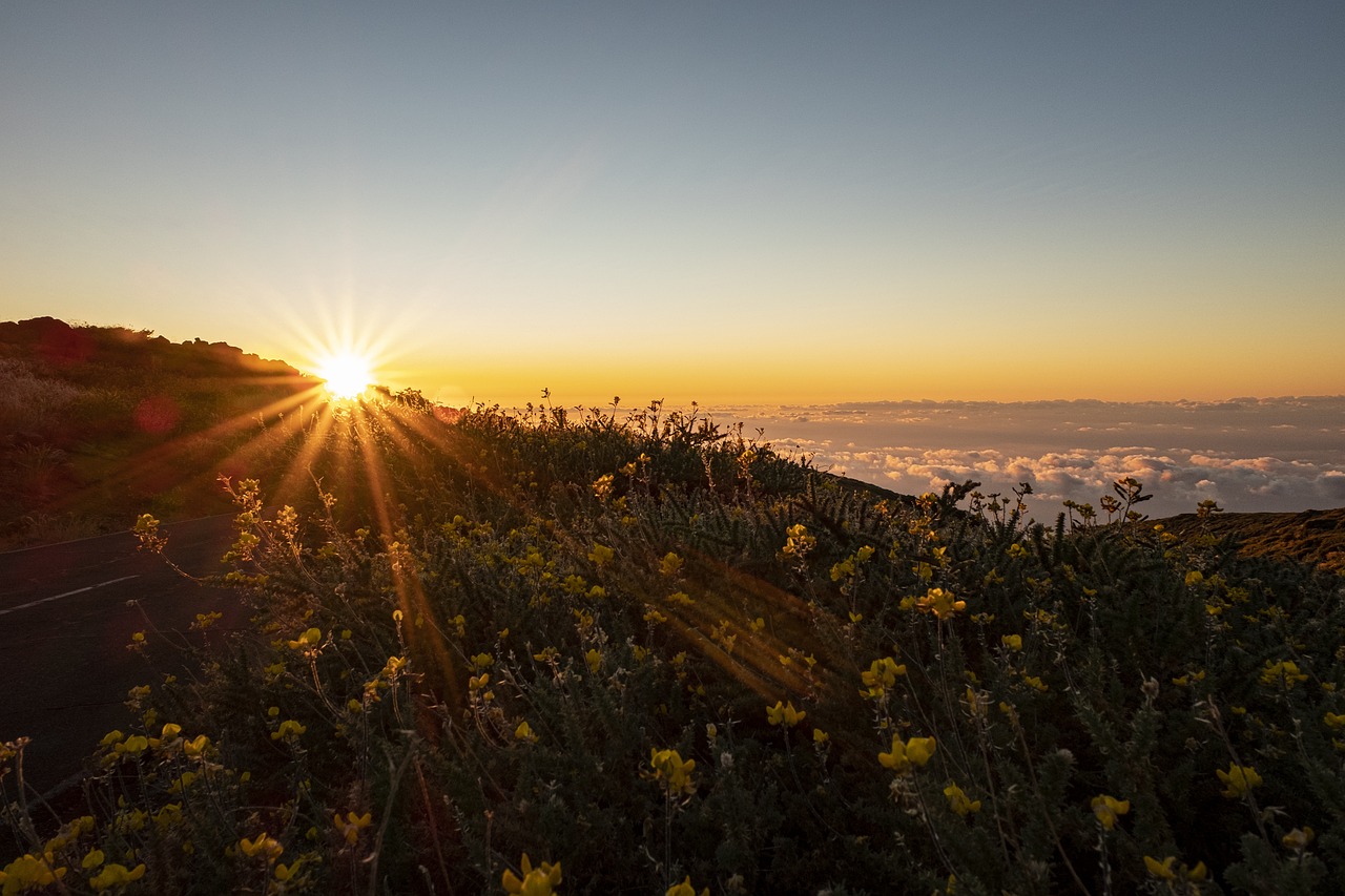 canary islands, la palma, spain-4368921.jpg